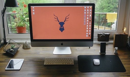 photo of a desktop computer screen with a screen saver of a drawing of a moose
